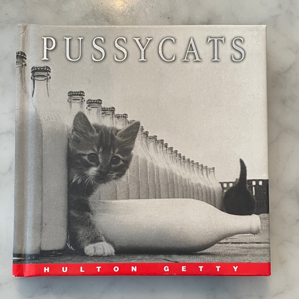 Hallmark Pussycats Book - 2019